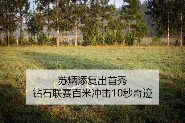 su-bing-tian-fu-chu-shou-xiu-zuan-shi-lian-sai-bai-mi-chong-ji-miao-qi-ji-2-587.jpg